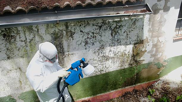 Trusted Commercial Mold Remediation service in Clifton, TN - Cheap Mold Removal